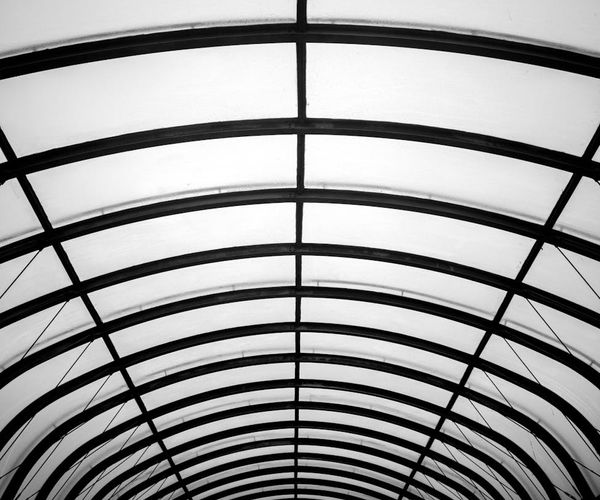 Symmetrical mint lines showing balance and inner structural integrity